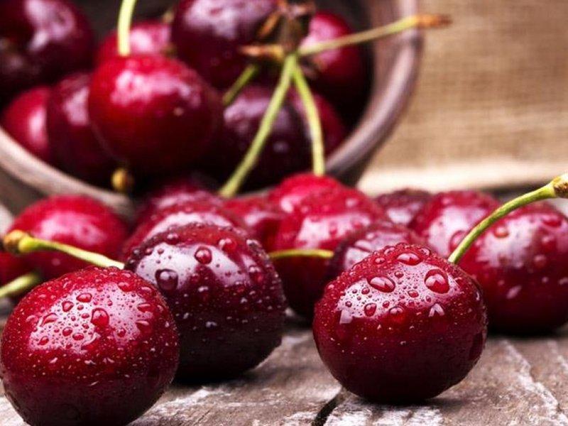 Вишня купить саженцы из питомника в Георгиевске